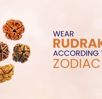 Wear Rudraksha according to your zodiac sign-e2b34d3f