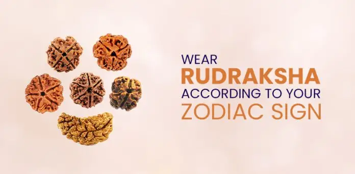 Wear Rudraksha according to your zodiac sign-e2b34d3f
