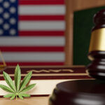 Weed Laws-519d434c