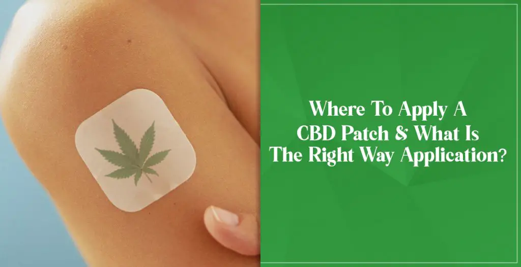 Where-To-Apply-A-CBD-Patch-And-What-Is-The-Right-Way-Application-1024x526-8c37b6a5