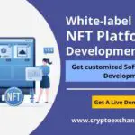White label NFT Marketplace_11zon-df790e6d
