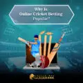 Why Is Online Cricket Betting Popular-62122883