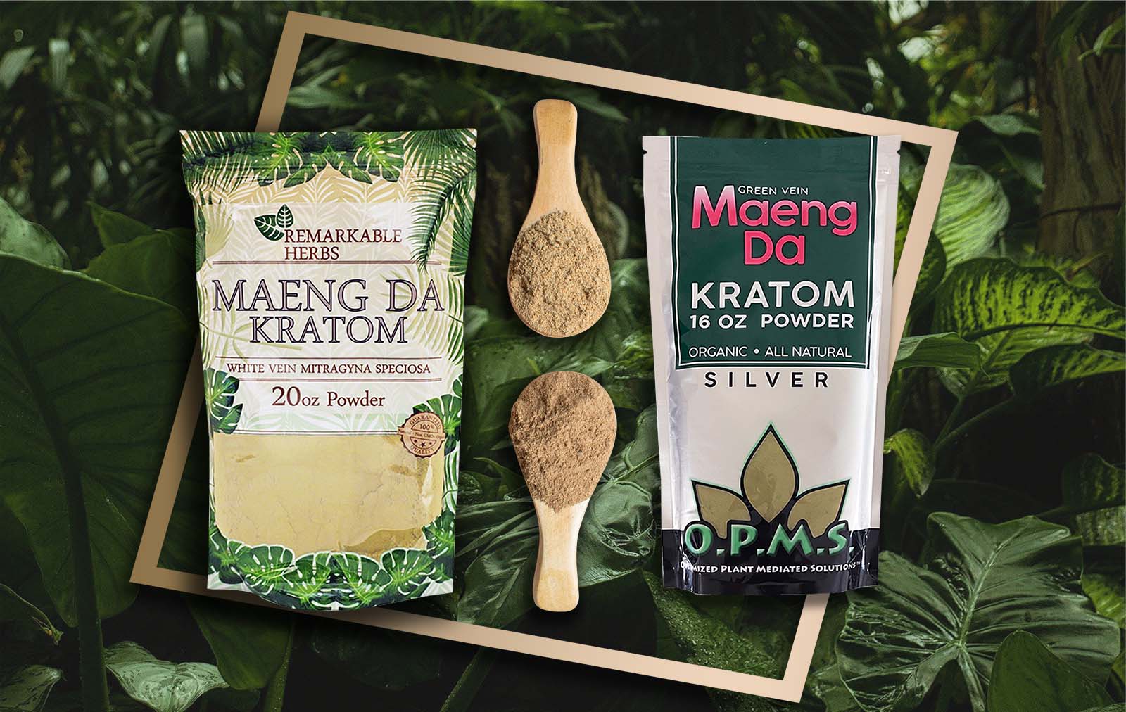 The Best 4 Kratom Strains on the Market Today