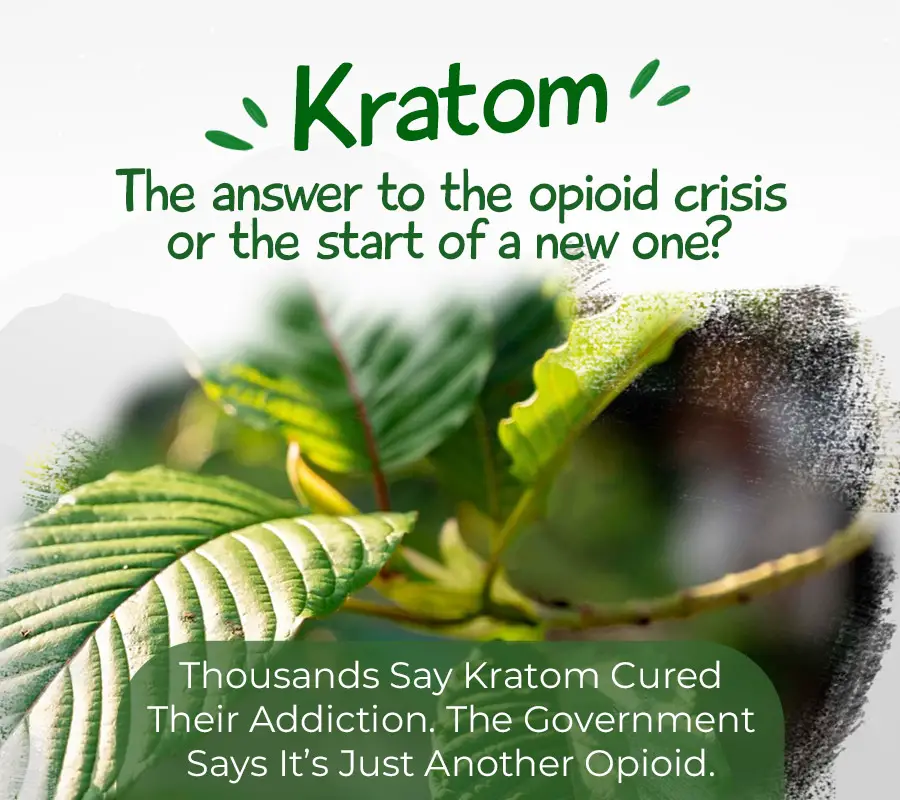 Is kratom the answer to the opioid crisis