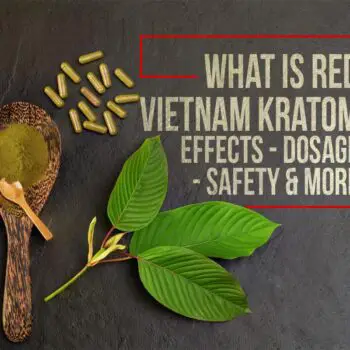 What Is Red Vietnam Kratom? Effects, Dosage, Safety