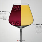 red-wine-vs-white-wine-fermenting-3527d359
