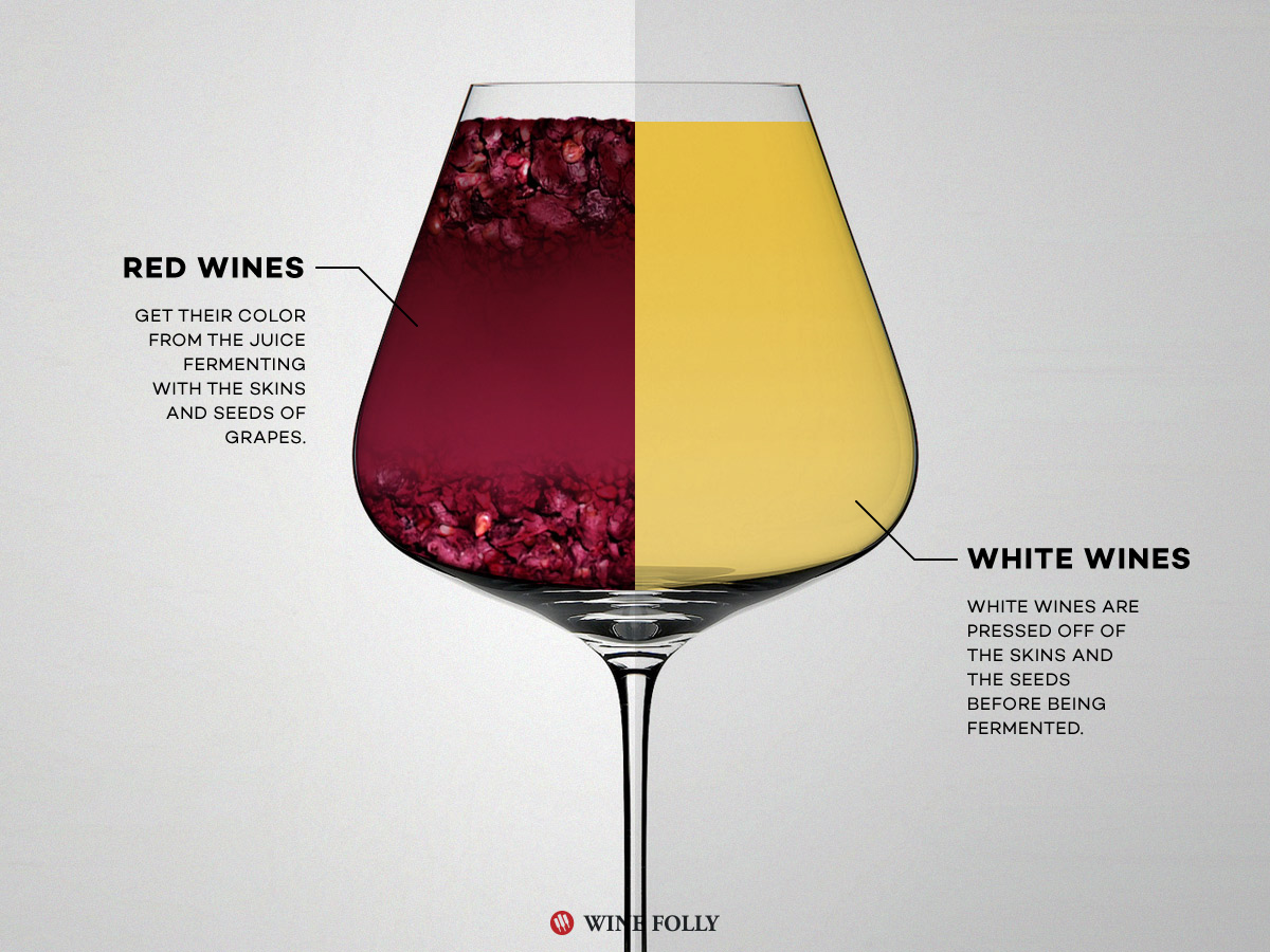 red-wine-vs-white-wine-fermenting-3527d359