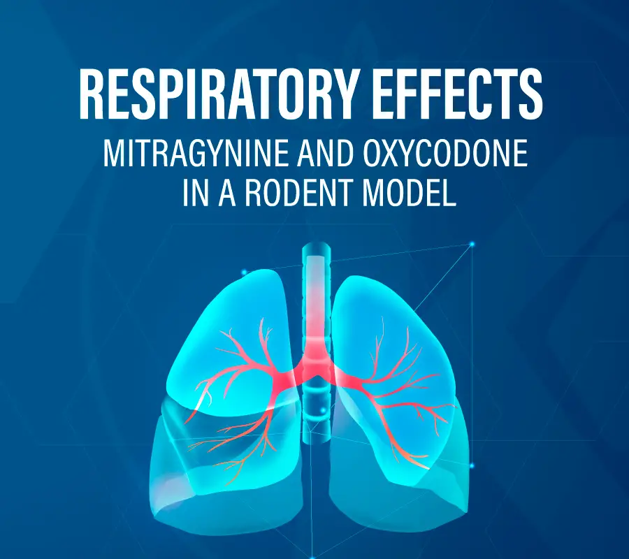 Respiratory effects of oral mitragynine and oxycodone