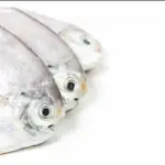 white vaval fish-24b10ef8