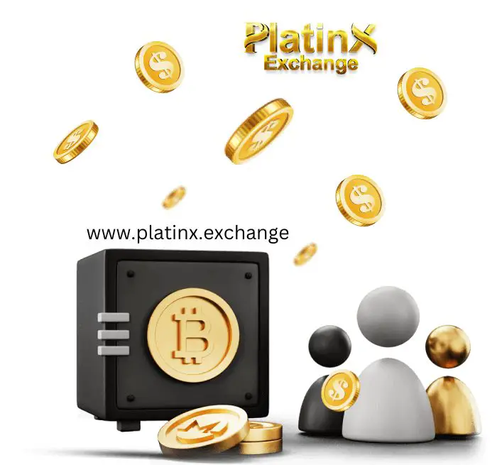 www.platinx.exchange-2c9aaab7