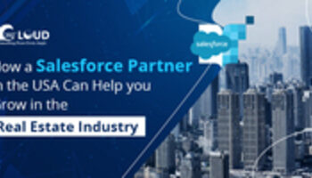 00How-a-Salesforce-Partner-in-th-8c9f302c