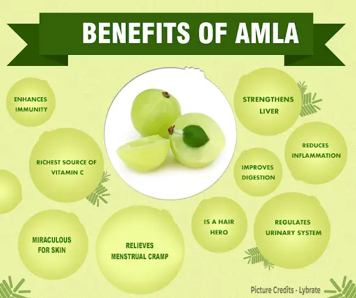 Amla health-07eb8798