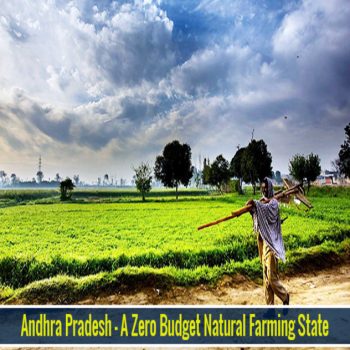 Andhra Pradesh  A Zero Budget Natural farming State 2 (1)-8a669cca