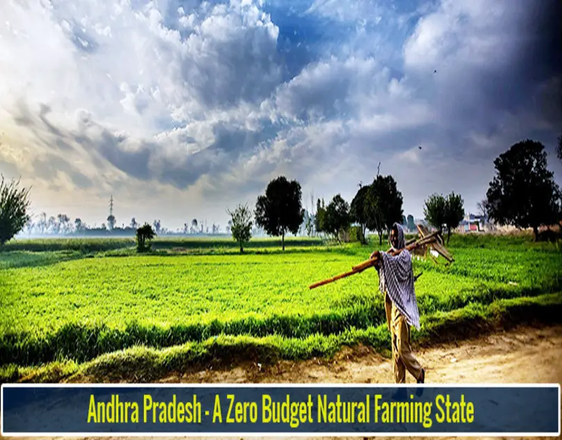 Andhra Pradesh  A Zero Budget Natural farming State 2 (1)-8a669cca