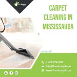 Carpet Cleaning in Mississauga