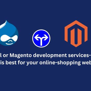 Drupal or Magento development services-Which one is best for your online-shopping website-48adfff8