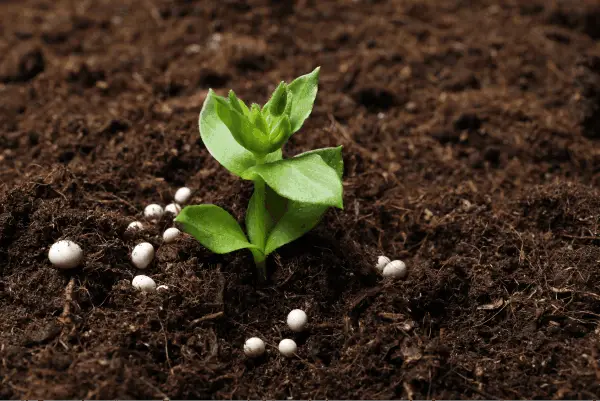 Global Fertilizers Market Share, Size , Trends, Analysis, Growth and Forecast_6_11zon-a5f51f32