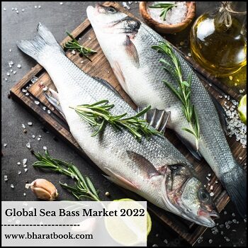 Global Sea Bass Market 2022-f7367065