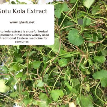 Gotu-Kola-Extract-c5ea5c4f