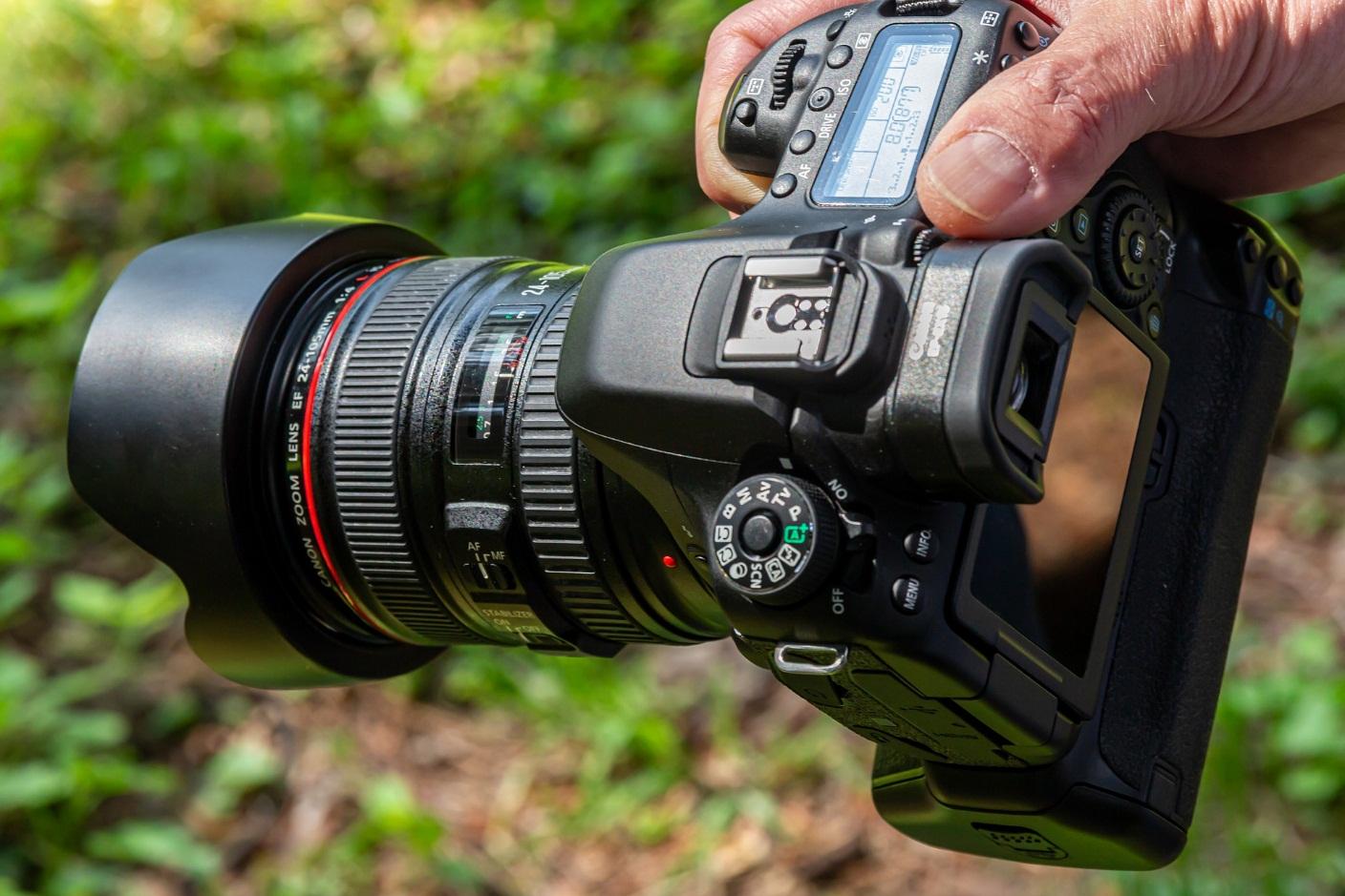 What Is a Mirrorless Camera and How Does It Work?