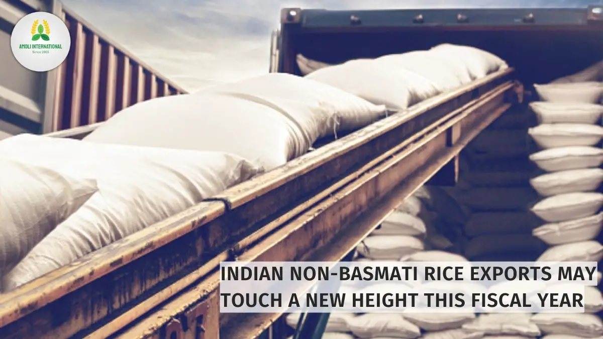 Indian Non-Basmati rice exports may touch a new height this fiscal year-4a946179