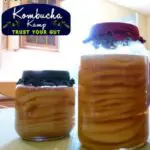 Kombucha And Water Kefir Recipes