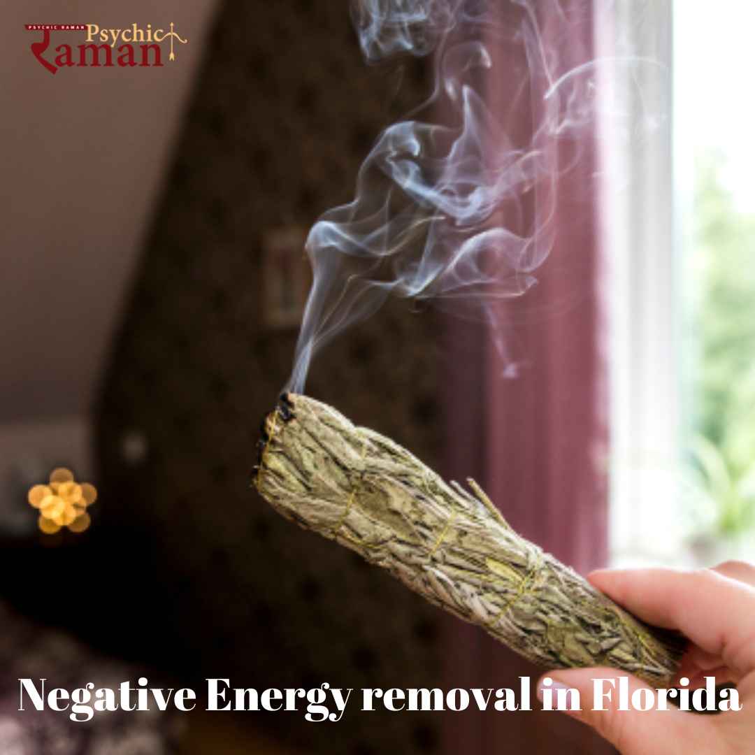 Negative Energy removal in Florida-3b3a5232