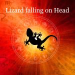lizard falling on head-4906dcd2