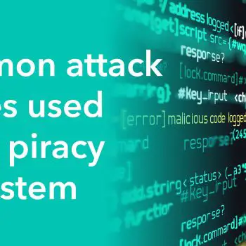 piracy ecosystem-662d1cd5
