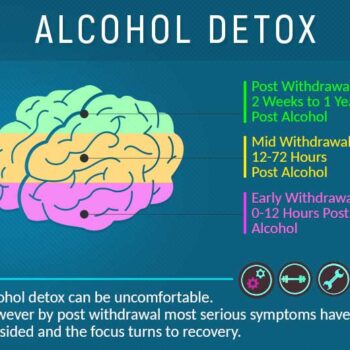 what-is-alcohol-detox-florida-22fca8d3