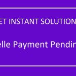 zelle payment pending review-08815027
