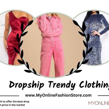 2.  Dropship Trendy Clothing-7a5908dd