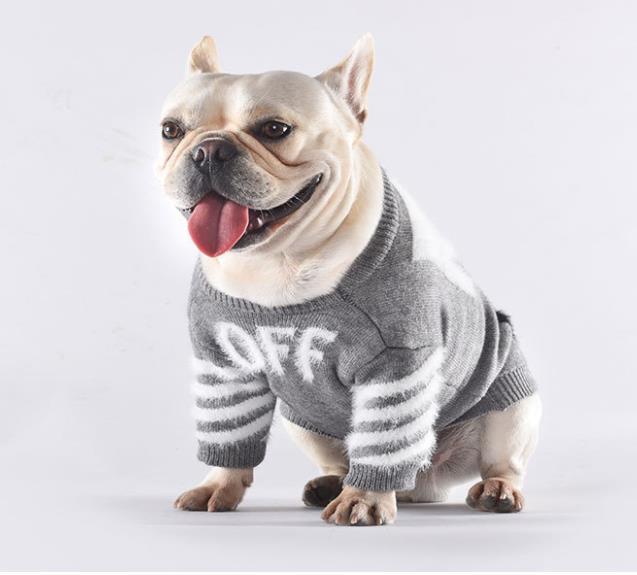 Ultimate guide to all about clothes for pets