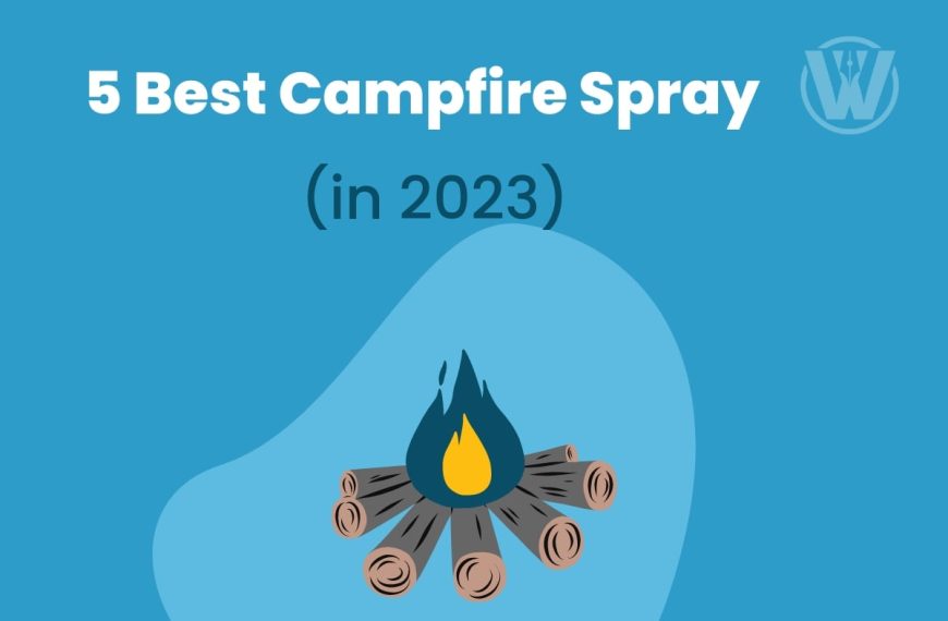 5 Best Campfire Spray 2023