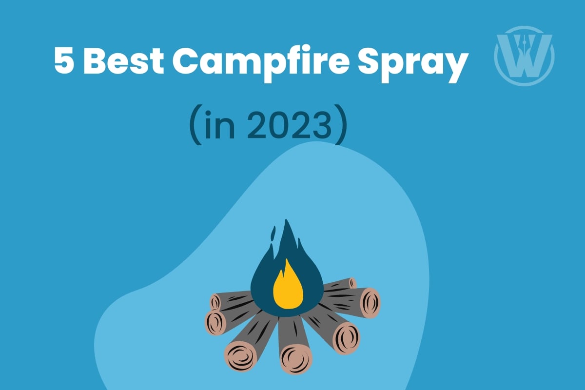 5 Best Campfire Spray 2023