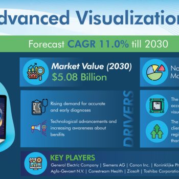 Advanced-Visualization-Market-c09b667a