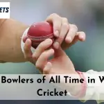 Best Bowlers of All Time in World Cricket-7d06ce67