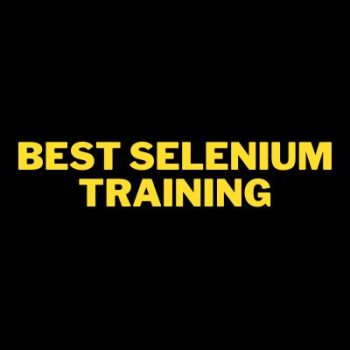 Best Selenium Training-5251e4c5