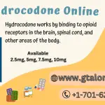 Buy Hydrocodone Online Without Prescription-64bcbd07