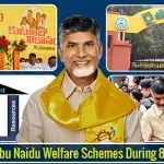 Chandrababu Naidu Welfare Schemes During 8 Years Rule-bc9e286c