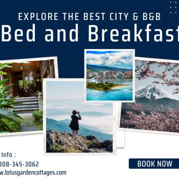 Cheapest Place to Stay in Hawaii-97ba6b32