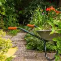 Garden Clearance Merton | Garden Clearance Service