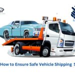 How to Ensure Safe Vehicle Shipping Service-1a8b9399
