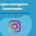 Imginn Instagram Downloader