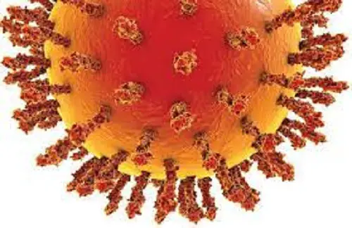 India NIPAH Virus Diagnostics Market-2fa56f2e