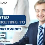 Interested In Marketing to CEO Worldwide (2)-b9ca9aca