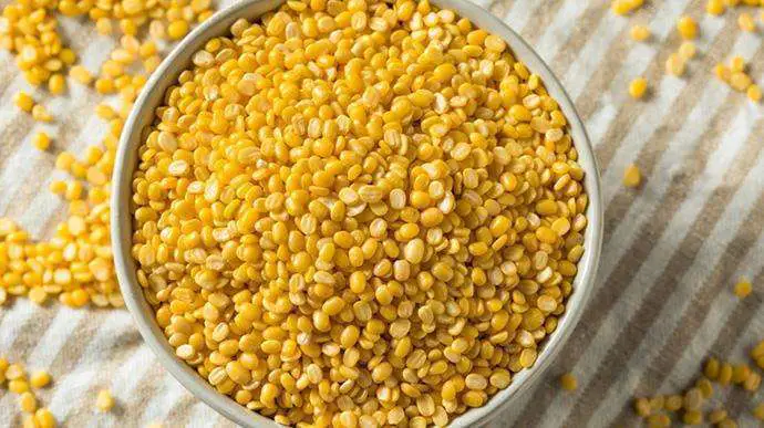 Moong-dal-1-7c6892a9