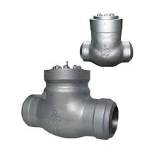Pressure seal check valve-009c4731
