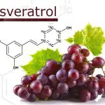 Resveratrol Market-c03022e9