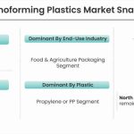 Thermoforming Plastics Market-fb6f123f